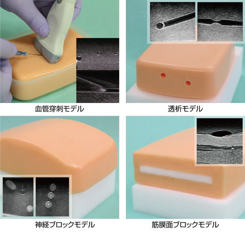 エコー下穿刺トレーニングモデル US-Sensist